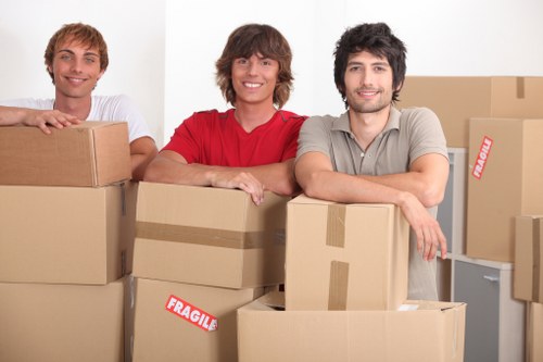 Loading boxes and furniture into a moving van in Camdentown